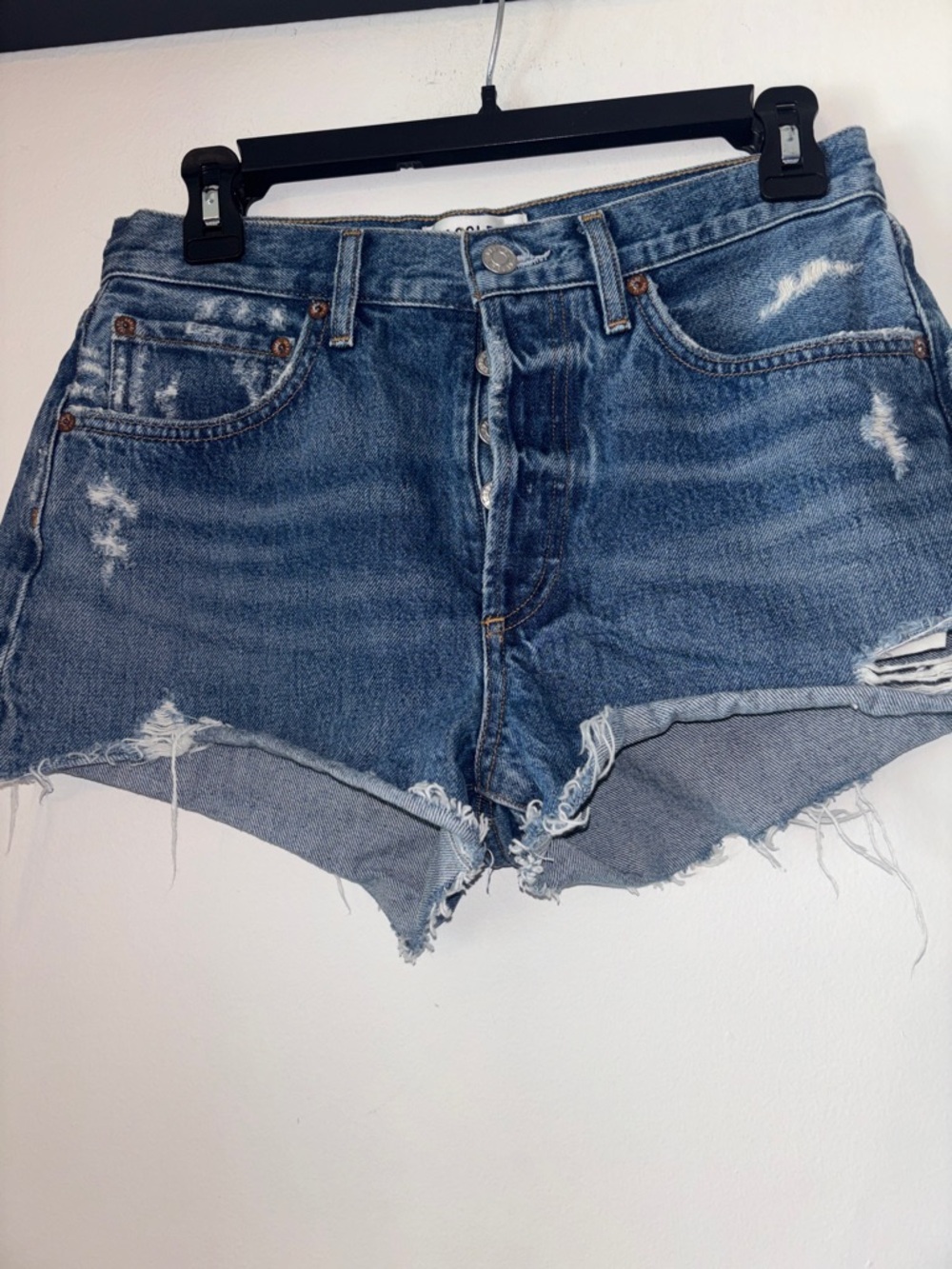 AGOLDE Parker Shorts